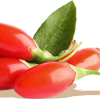 GOJI BERRY